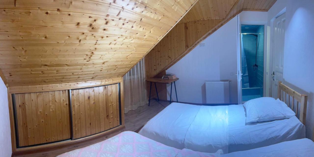 Nino & Irodi'S Guest House クタイシ エクステリア 写真